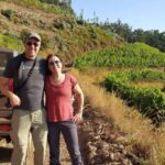 Private Half-Day Tour of Wine Fields - A Deep Dive into the Experience