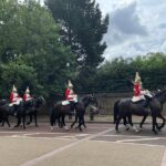 Private Half Day Tour on a London Cab - Who Should Consider This Tour?