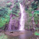 Private Half Day Tour: Papeete and Nature of Tahiti east coast - Final Thoughts