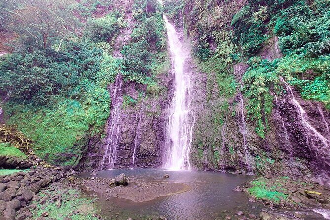 Private Half Day Tour: Papeete and Nature of Tahiti east coast - Final Thoughts