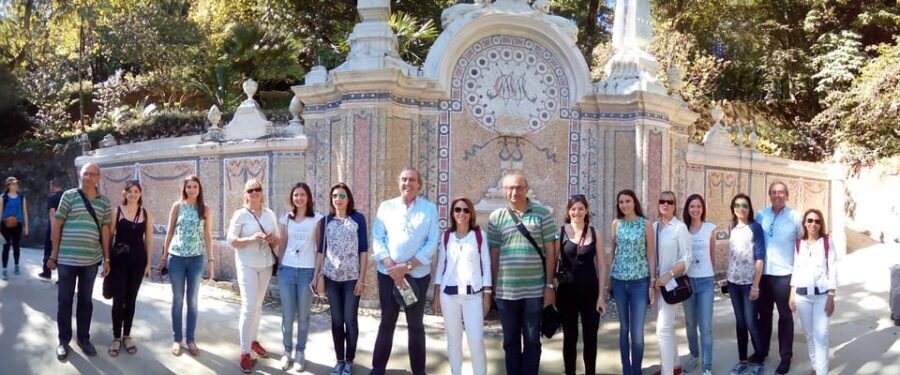 Private Half Day tour Sintra Pena Palace & Initiantion Well - Who Will Love This Tour?