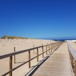 Private Half-Day Tour to Arrabida from Lisbon - Authentic Experiences & Practical Insights