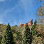 Private Half-Day Tour to Sintra - The Practicalities: What You Need to Know