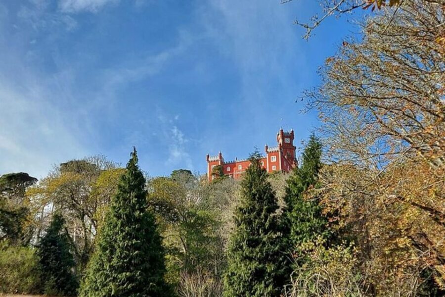 Private Half-Day Tour to Sintra - The Practicalities: What You Need to Know