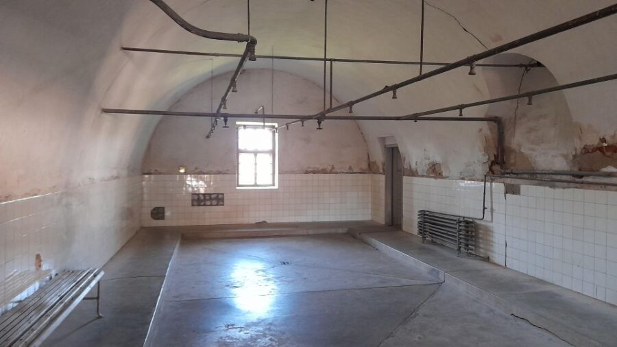 Private Half-Day Tour To Terezin Concentration Camp - Analyzing the Value