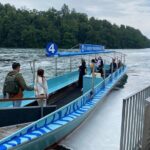 Private Half-Day Tour to the Rhine Falls with Pick-up at Hotel - Who Is This Tour Best For?