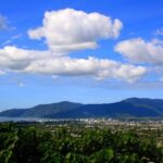 Private Half Day Tour: World Heritage Rainforest & Waterfall - A Detailed Look at the Tour Experience