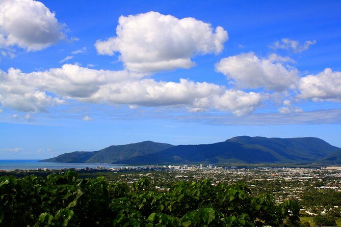 Private Half Day Tour: World Heritage Rainforest & Waterfall - A Detailed Look at the Tour Experience