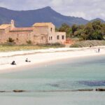 Private Half-Day Trip from Cagliari to Nora Ruins - An In-Depth Look at the Tour Experience