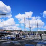 Private Half-Day Walking Tour of Horta Experience - Who Should Consider This Tour?