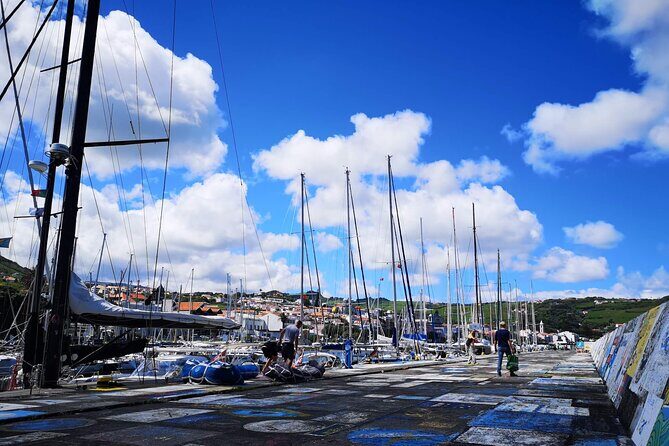 Private Half-Day Walking Tour of Horta Experience - Who Should Consider This Tour?