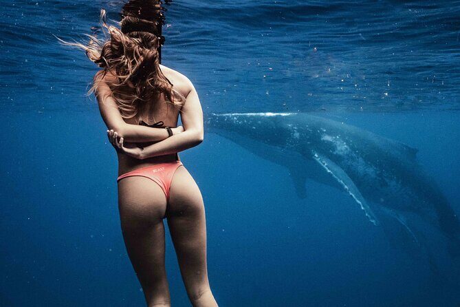 Private Half Day Whale Watching Tour - Summary: Why choose this whale watching tour?