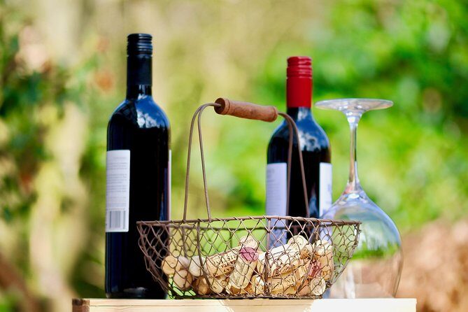 Private Half Day Wine Tasting tour: Road Of The Doges - What the Reviews Say