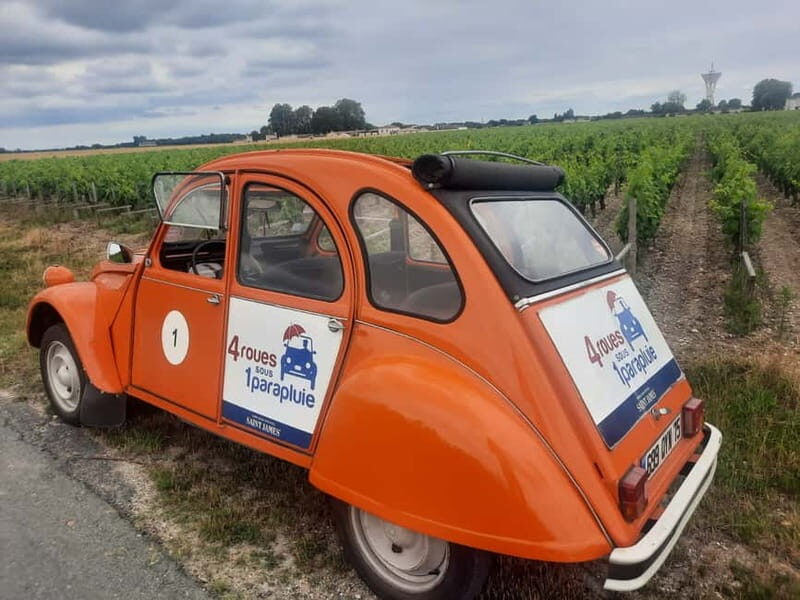 Private Half-Day Wine Tour in Citroën 2CV - What’s the Value?