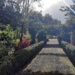 Private Halfday Flower Palheiro Gardens Tour - Final Thoughts