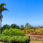 Private Halfday Madeira Garden Tour - Practical Details and Tips