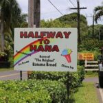 Private Halfway to Hana Tour - Who Will Love This Tour?