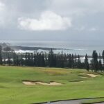 Private Hana, Ocean, Turtle Town, Winery Tour of Maui - Comfort and Convenience in Transportation