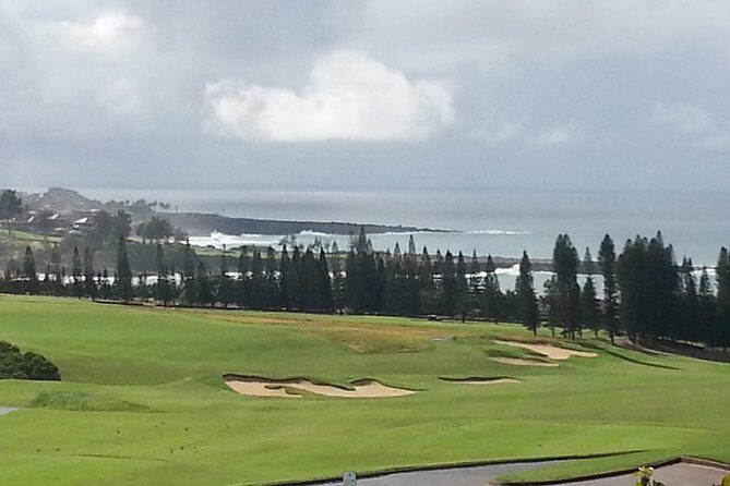 Private Hana, Ocean, Turtle Town, Winery Tour of Maui - Comfort and Convenience in Transportation