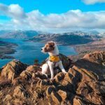 Private Harry Potter, Glenfinnan Viaduct, Highlands tour Glasgow - Authentic Experiences and Practicalities