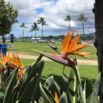 Private Hawaii Pearl Harbor Tours and North Shore (up to 12 people ) - Why It’s a Great Choice for Different Travelers