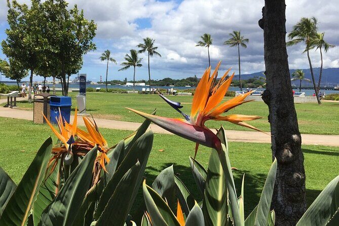 Private Hawaii Pearl Harbor Tours and North Shore (up to 12 people ) - Why It’s a Great Choice for Different Travelers