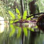 Private hike along the Levada - Who Should Consider This Tour?