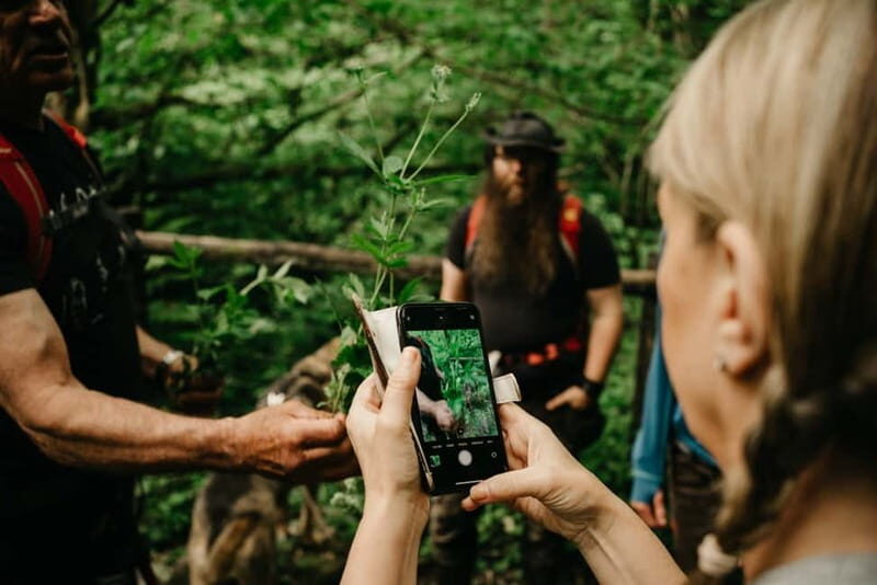 Private Hike: Brecon Beacons Henrhydd Falls Plus Foraging - The Practicalities: What to Expect and How to Prepare