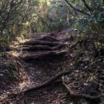 Private Hiking Adventure at Arrábida Mountain - Exploring the Itinerary: What to Expect from Each Stop