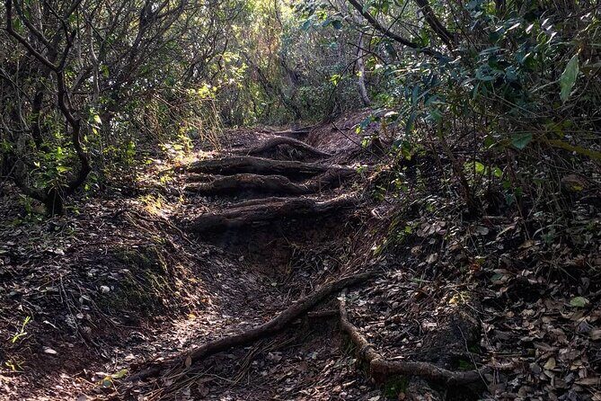 Private Hiking Adventure at Arrábida Mountain - Exploring the Itinerary: What to Expect from Each Stop