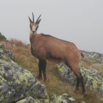 Private Hiking Tour Visit to Slovakia with Licensed Guide - FAQ