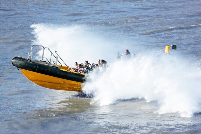 PRIVATE HIRE SPEEDBOAT 'ULTIMATE TOWER RIB BLAST' FROM TOWER PIER - 40 Minutes - Authentic Experiences from Reviews