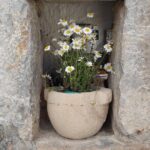 Private History, Sights, and Food Walking Tour of Chania City - Final Thoughts: Who Will Appreciate This Tour?