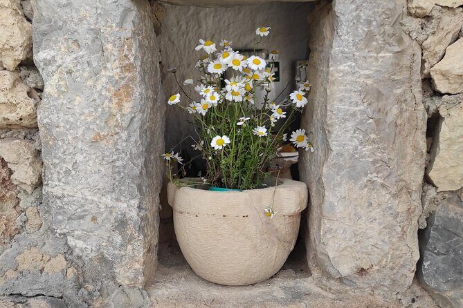 Private History, Sights, and Food Walking Tour of Chania City - Final Thoughts: Who Will Appreciate This Tour?