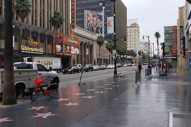 Private Hollywood Celebrity Homes Tour in Beverly Hills - Who Is This Tour Best Suited For?