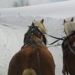 Private Horse-Drawn Sleigh Ride from Salzburg - FAQs