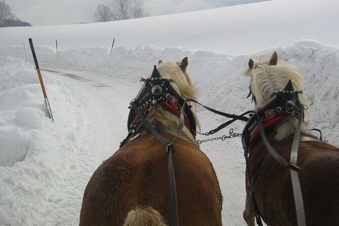 Private Horse-Drawn Sleigh Ride from Salzburg - FAQs