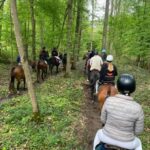 Private Horse Ride experience - A Closer Look at the Horseback Riding Experience
