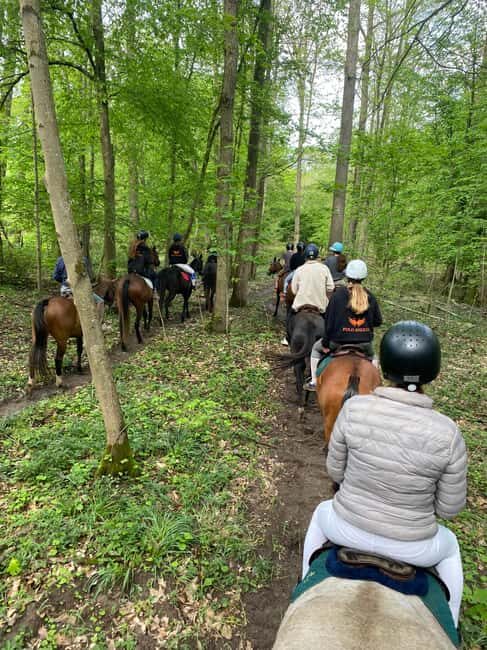 Private Horse Ride experience - A Closer Look at the Horseback Riding Experience