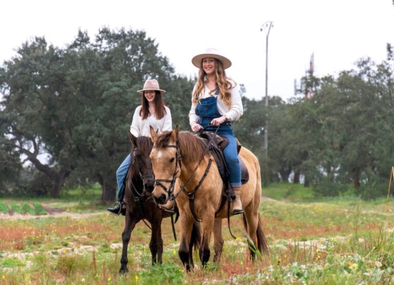 PRIVATE Horseback Riding On The Beach - An In-Depth Look at the Experience