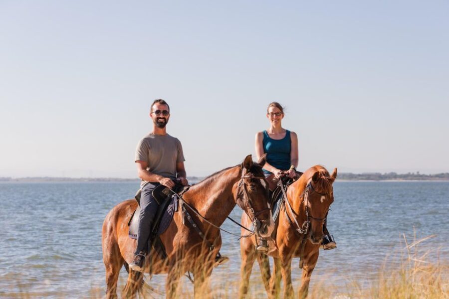 PRIVATE Horseback Riding + Picnic On The Beach - An In-Depth Look at the Experience