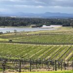 Private Hunter Valley Wine Day Tour from Sydney luxury Mercedes - The Full Experience Breakdown