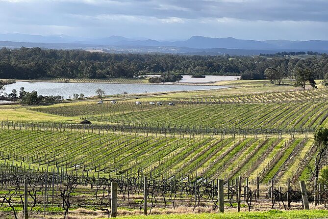 Private Hunter Valley Wine Day Tour from Sydney luxury Mercedes - The Full Experience Breakdown