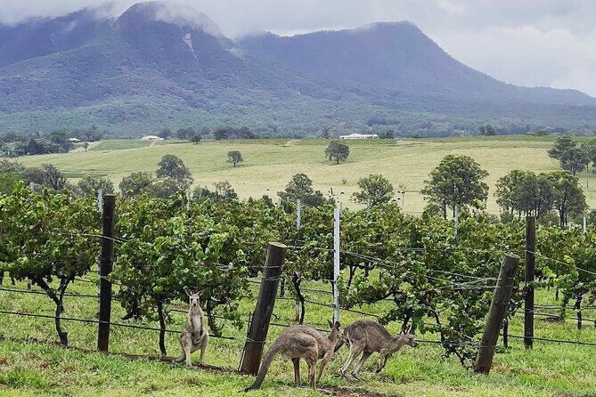 Private Hunter Valley Wine Tasting Tour from Sydney - Frequently Asked Questions