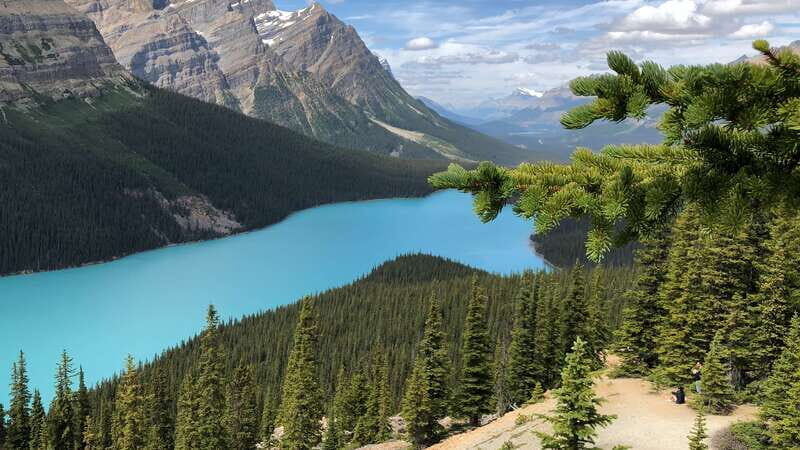 Private Icefields Parkway Tour w/ Lake Louise & Moraine Lake - Who Should Consider This Tour?