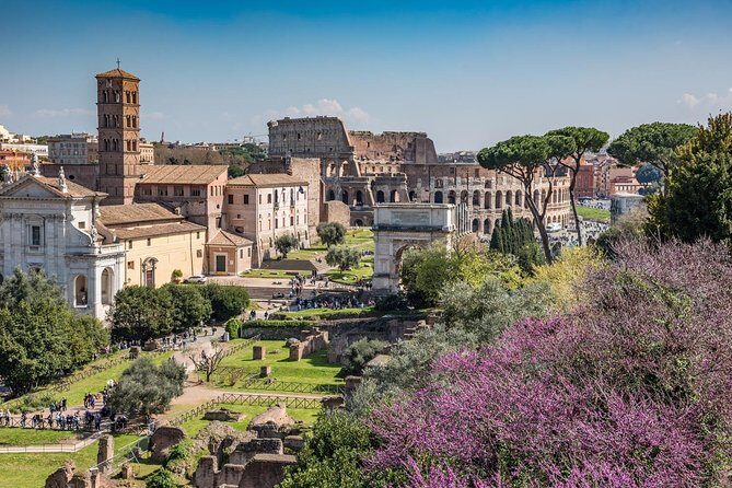 Private Immersive Colosseum Tour - Why This Tour Offers Great Value