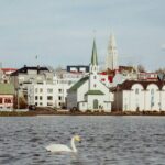 Private Introduction To Iceland Walk Tour - Summing Up: Why You’ll Love This Tour
