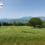 Private Irpinia Gourmet Tour from POSITANO, PRAIANO or AMALFI - Authenticity and Value