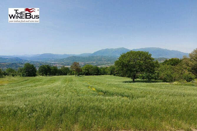 Private Irpinia Gourmet Tour from POSITANO, PRAIANO or AMALFI - Authenticity and Value