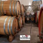 Private Irpinia Wine Tour from NAPLES with sommelier - Who Will Love This Tour?